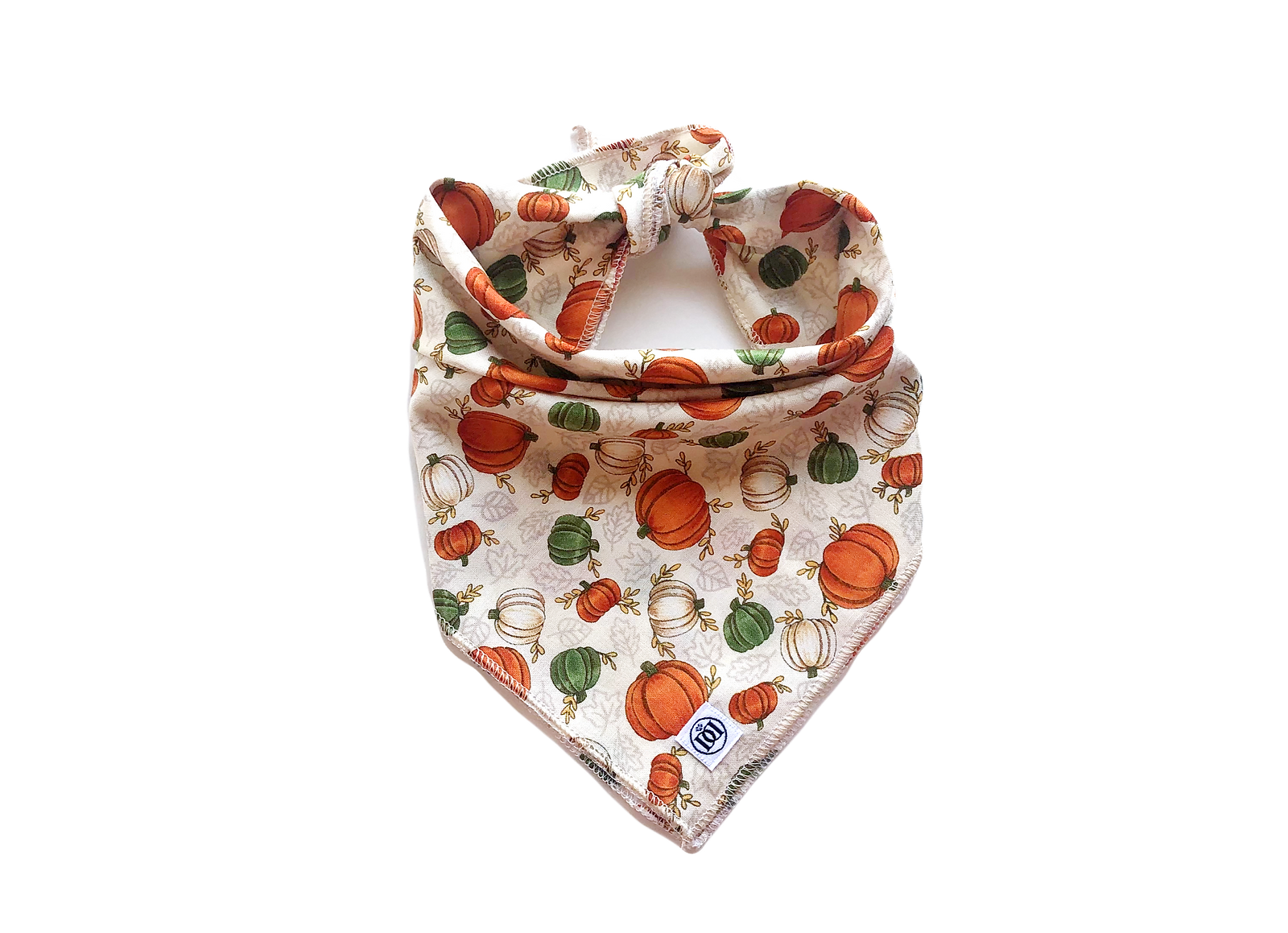 Pumpkin Bandana