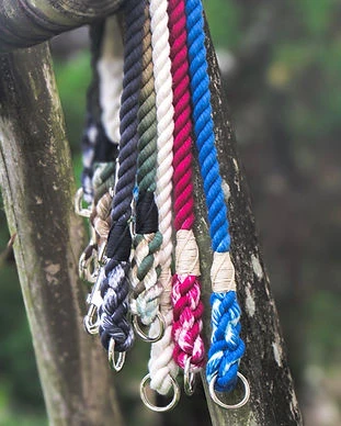 leashes1.jpg